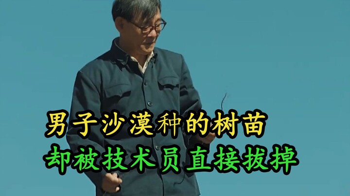 Cây con mà chàng trai trồng trong sa mạc lại bị kỹ thuật viên trực tiếp nhổ bỏ, lý thuyết và thực ti