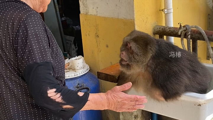 يا أستاذة، هناك الكثير من الناس هنا، خذي الأمر بعين الاعتبار!