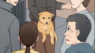 The local dog is not local