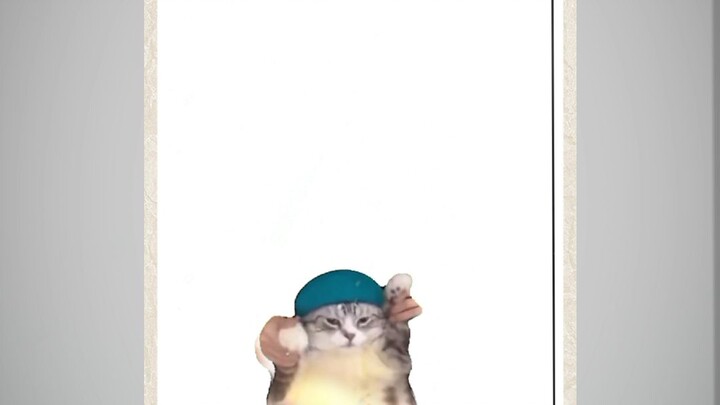 meow meow