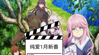 男女主打败魔王，女主却失忆了，21年开年神作