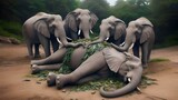 Unbelievable Moments When Animals Say Goodbye To The Dead