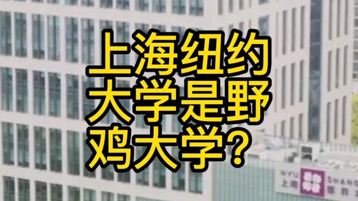 มหาวิทยาลัยนิวยอร์ก สาขาเซี่ยงไฮ้ เป็นมหาวิทยาลัยเถื่อนหรือ?