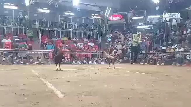 WW.             5 stag local band @ SMC