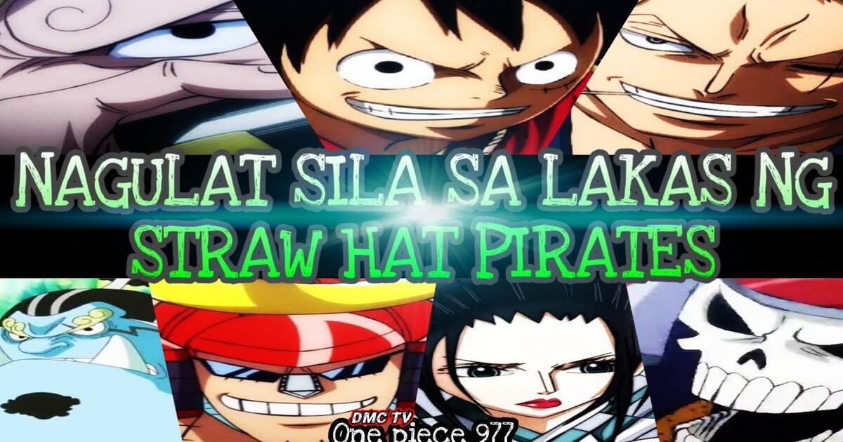 One Piece 977 alog Review Straw Hat Pirates Bilibili