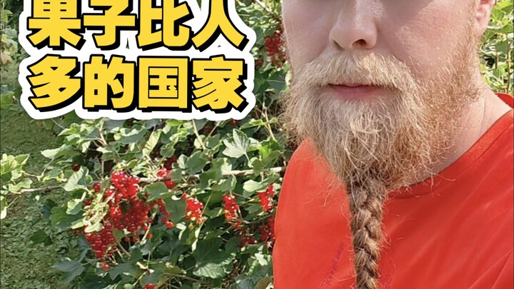 Orang Finlandia sudah tenggelam dalam buah-buahan