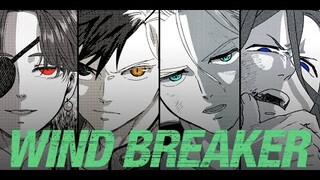 New Anime 2024 tokyo revenger copy??  |WILD BREAKER |