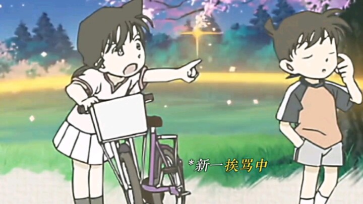 Shinichi: Honestly