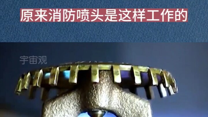 Để tôi chỉ cho bạn một số điều kỳ lạ