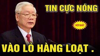 🔴KHẨN: LÒ BÁC TRỌNG LẠI CHÁY RỰC KHI VỤ FLC ĐÃ LÔI HÀNG LOẠT SÂU MỌT RA ÁNH SÁNG.