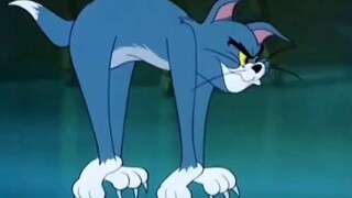 Cuộc sống hàng ngày của Tom và Jerry!