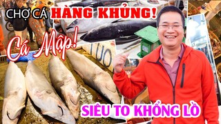 Nửa đêm đột nhập Chợ Hải Sản lớn nhất Đà Nẵng xem mổ Cá Mập Siêu To Khổng Lồ