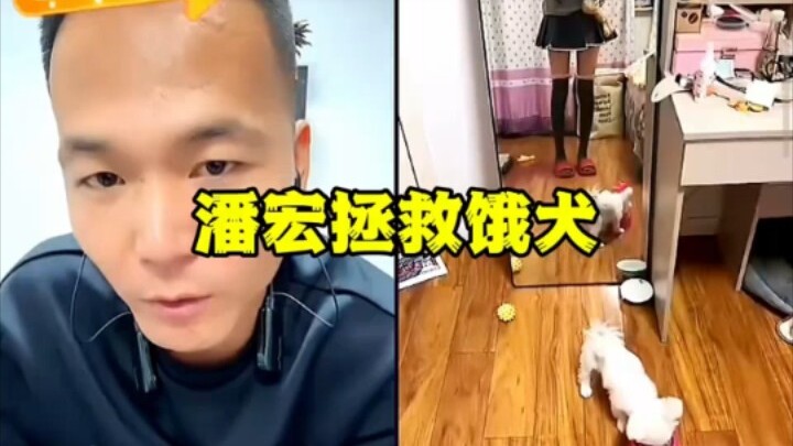 Adegan terkenal Pan Hong yang mencoba menyelamatkan seekor anjing lapar. Untungnya, ia terhubung ke 