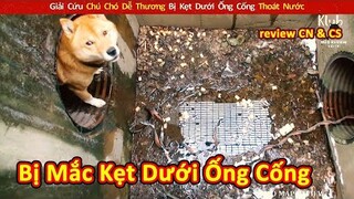 Giải Cứu Chú Chó Dễ Thương Bị Kẹt Dưới Ống Cống Thoát Nước || Review Con Người Và Cuộc Sống