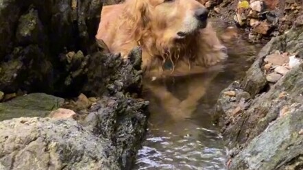 ฉันไม่หิว ฉันกำลังนั่งรอปลาอยู่ที่ตอไม้