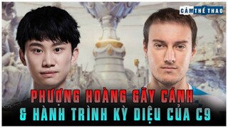 PHƯỢNG HOÀNG GÃY CÁNH & HÀNH TRÌNH KỲ DIỆU CỦA “MÂY 9”