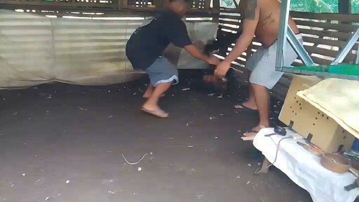 going 6 months ..moonwalker sweater