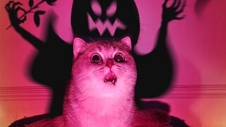 Jangan masuk kalau kamu penakut! Hantu yang super garang dan imut.