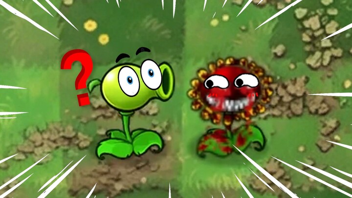 น่ากลัว! ดอกทานตะวันกลายพันธุ์แล้ว?
