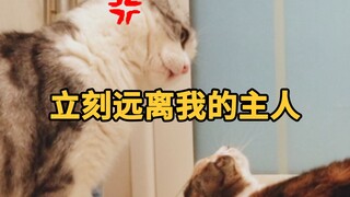 猫的独占欲，能强到什么程度？