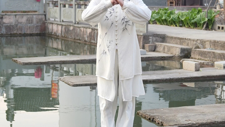 Dragonfly Skimming the Water