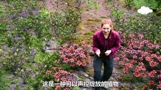 在距离地球几亿光年外的星球上，竟然生长着各种奇异的动植物！