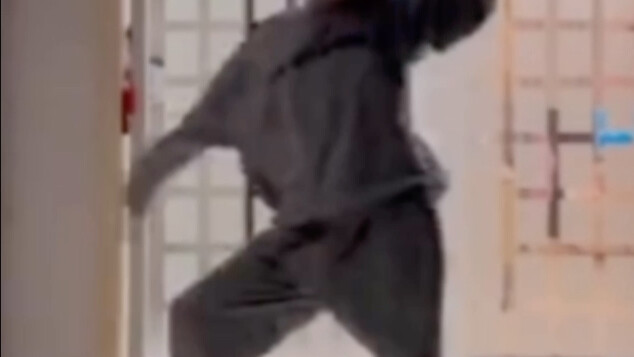 Hanser dancing! (No watermarks, no censorship, unobstructed bullet comments) All furries, grab it qu