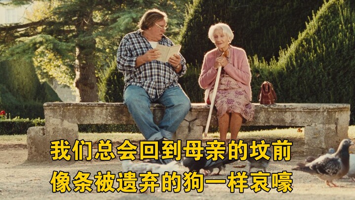 我们总会回到母亲的坟前，像条被遗弃的狗一样哀嚎，高分治愈电影