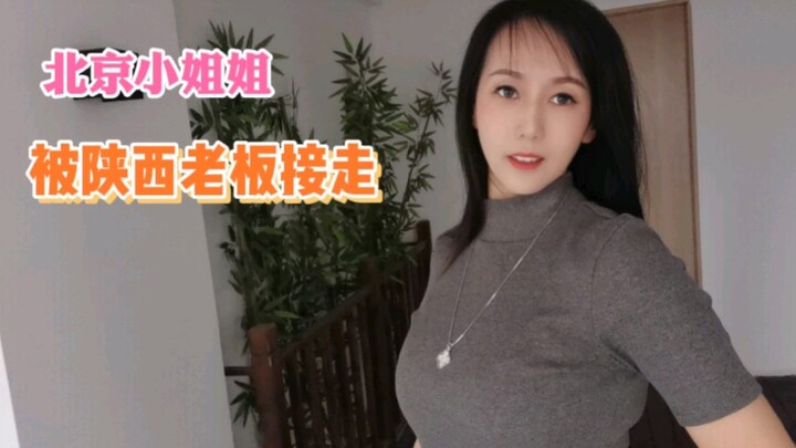 الآنسة الصغيرة أخذها صاحب المطعم من شنشي للعناية بنفسها وترقية ذاتها.