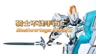 【扎古的模玩世界】大家都玩烂了我才刚刚到的模寿湖中骑士