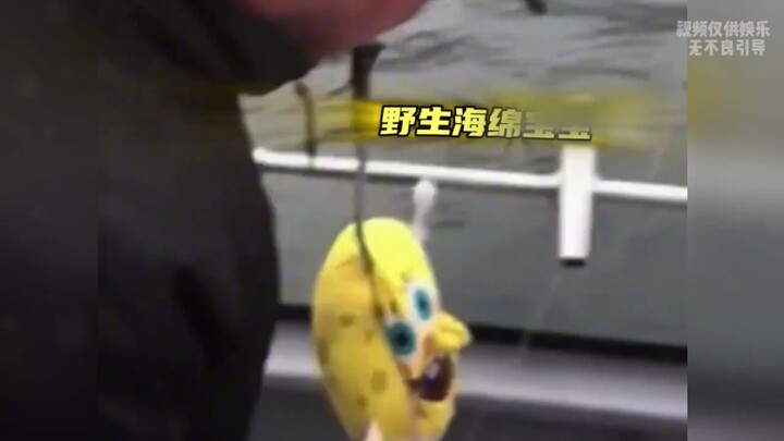 Mengulas Hasil Pancingan Paling Aneh saat Memancing Ikan