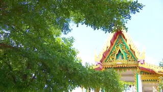 Luang Phi Digital (2558) CH8 EP.12 CR.VIU