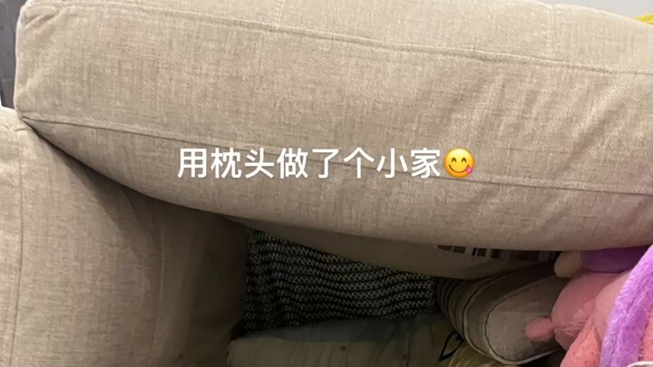 pháo đài sửa chữa chó