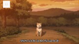 Chú chó Shiba #anime #schooltime