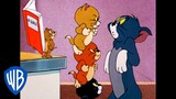 Tom y Jerry en Español | En casa, pero no a solas | WB Kids