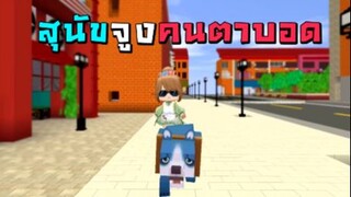 สุนัขจูงคนตาบอด