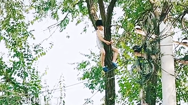 Câu nói của anh ấy: “Làm sao bây giờ? Ui da～ cười chết mất!”