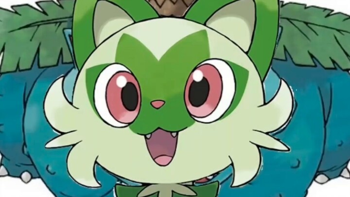 Suggested to change the name to Kailu Cat [doge]