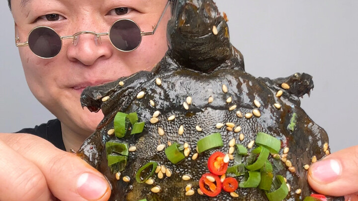 Reading the Turtle's Memories