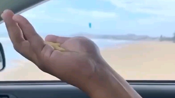 Sức hấp dẫn của khoai tây chiên