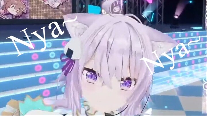 Saat Kucing dan Anjingmu Berperilaku Sebagaimana Mestinya [OkaKoro] - Vtuber Clip