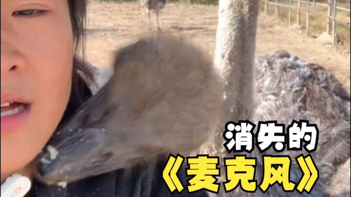 مرة أخرى! مرة أخرى أكلت الميكروفون الخاص بي مرة أخرى!!!