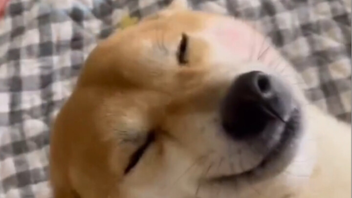 Dilihat dari situasinya, ini bukan yang pertama kali, ya?