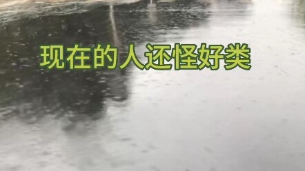 【Tiểu Tống bị mẹ đánh-】Tác phẩm mới nhất của mình, mau đến xem ngay!