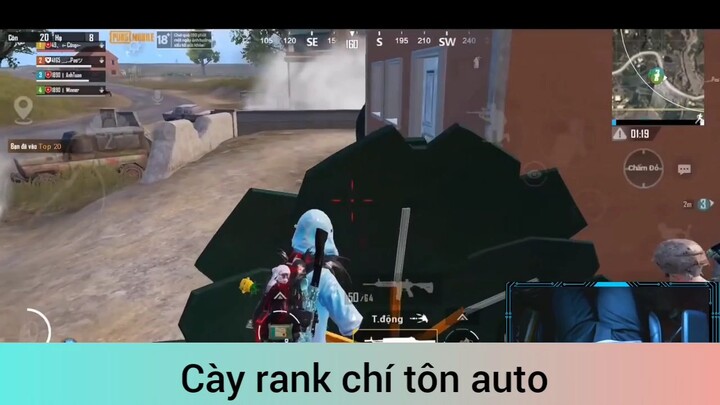 cày rank chí tôn auto