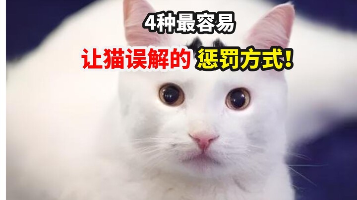 这几种惩罚猫的方式，不但没效还会让猫误解