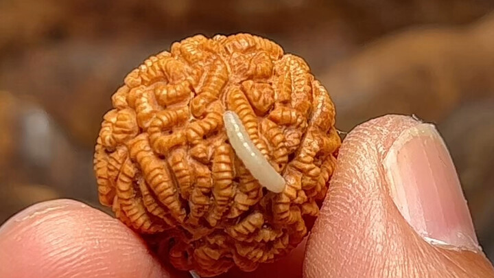 Vẫn là sống cho đẹp mắt nhỉ?