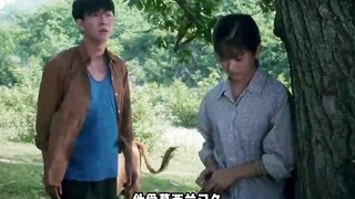 那时候的一头牛，是整个家庭的经济来源，然而小伙却丢了牛