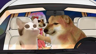 Our pattern is still small