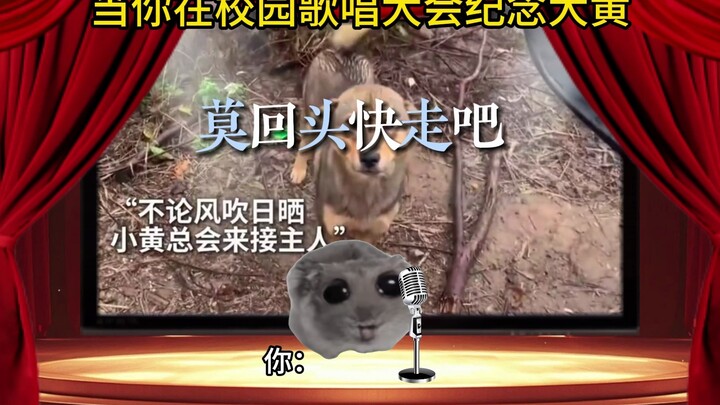 当你在校园大会纪念大黄